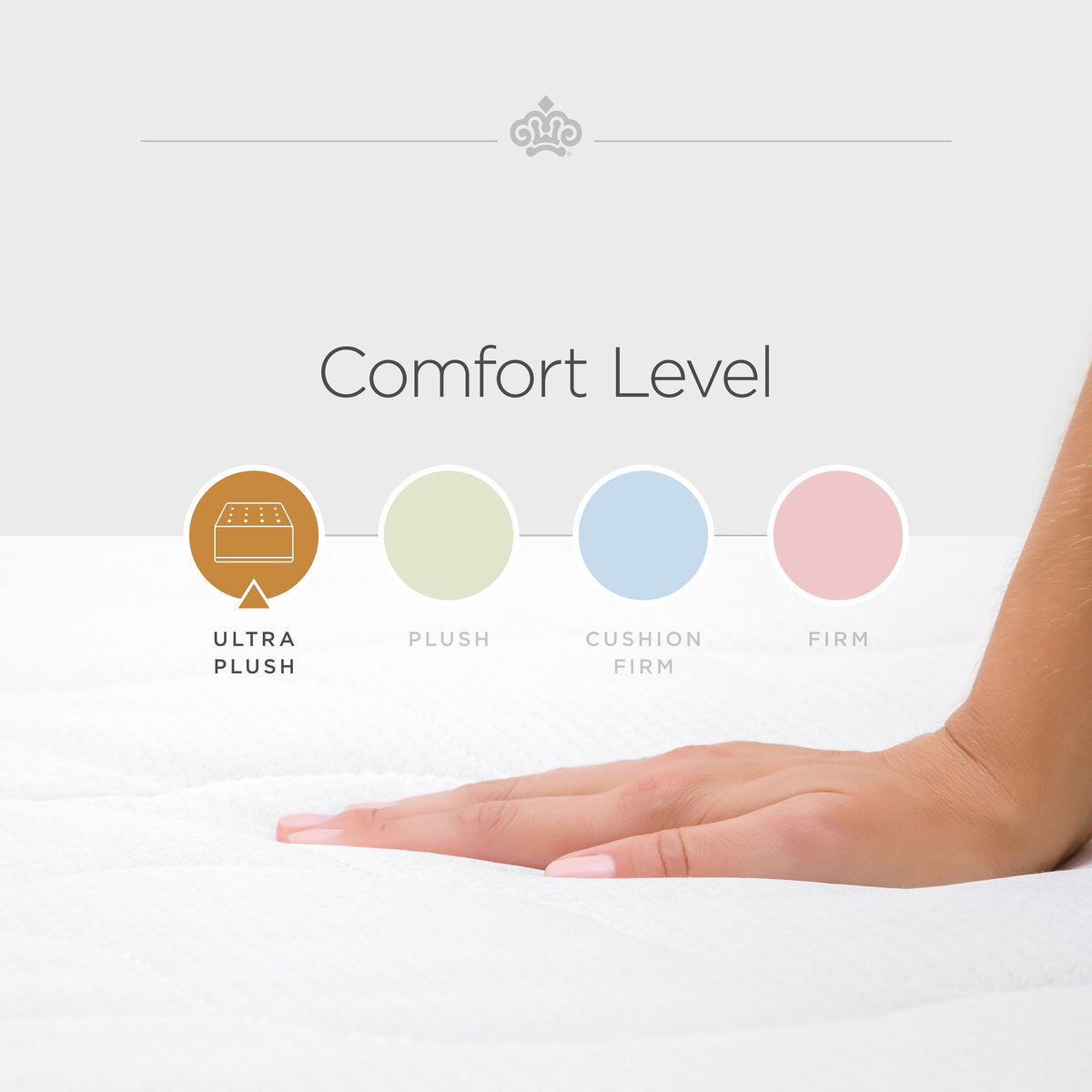 bedMATCH Gold